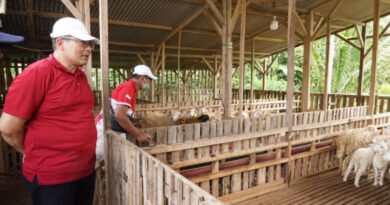 Wakil Bupati Malang Tinjau Kandang Domba Edukasi di Bumi Rejo Dampit