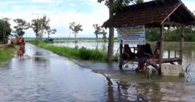 Ratusan Hektare Lahan Pertanian di Lumajang Terendam Banjir, Petani Terancam Gagal Panen