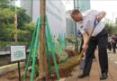 Bersama Presiden RI Walikota Jakarta Barat Tanam 11 Pohon Lindung di Halaman Masjid Assahara