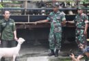 Korem 081/DSJ Siap Tingkatkan Kesejahteraan Masyarakat Melalui Budidaya Domba