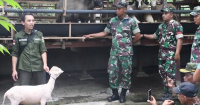 Korem 081/DSJ Siap Tingkatkan Kesejahteraan Masyarakat Melalui Budidaya Domba