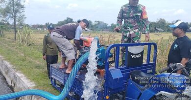 Serda Munirul Bahu membahu Bersama Kelompok Tani Sido Makmur Menguatkan Ketahanan Pangan Desa Tumpang