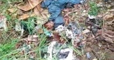 Diduga Ada Aktivitas Komunitas Sesama Jenis di Taman Jalan Daan Mogot Cengkareng, Pemkot Jakbar Diminta Perketat Pengawasan