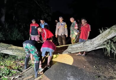 Hujan Angin Tumbangkan Pohon Akasia hingga Tutup Jalan di Trenggalek