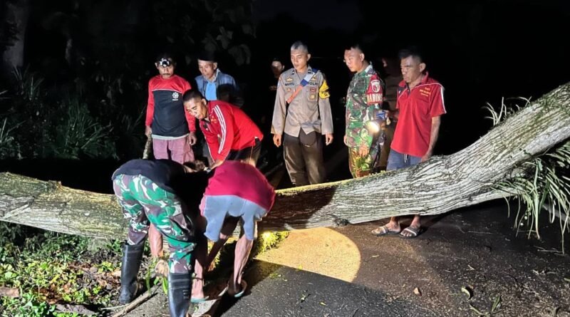 Hujan Angin Tumbangkan Pohon Akasia hingga Tutup Jalan di Trenggalek