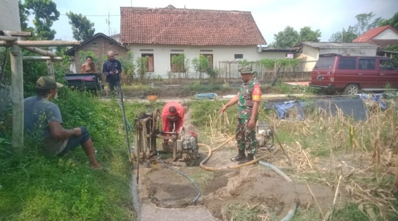 Dukung Ketahanan Pangan, Babinsa Aktif Dampingi Petani Binaan di Desa Dadaplangu