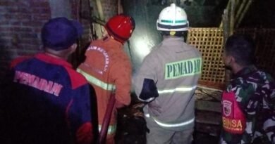 Kandang Kambing di Gandusari Terbakar, Babinsa dan Damkar Padamkan Api