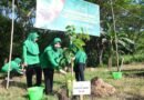 Persit KCK Koorcab Rem 081 Tanam Ratusan Pohon Produktif di Kawasan Gunung Kendil