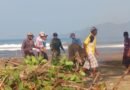 TNI dan Warga Gotong Royong Bersihkan Pantai Blado di Trenggalek