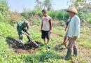 Cegah Erosi, Babinsa Sananwetan Bersama Poktan Rahayu Tanam Pohon Mahoni