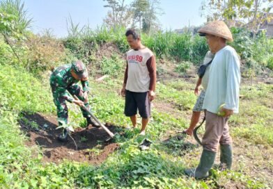Cegah Erosi, Babinsa Sananwetan Bersama Poktan Rahayu Tanam Pohon Mahoni