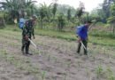 Agar Panen Puas, Babinsa Kandangan Bantu Penyemprotan POC Untuk Pertumbuhan Jagung Maksimal