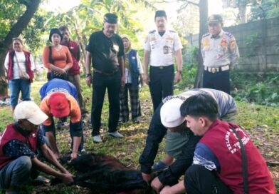 Peringati Hari Raya Idul Adha 1447 H/2026 M, Terminal Kampung Rambutan Sembelih 7 Ekor Kambing