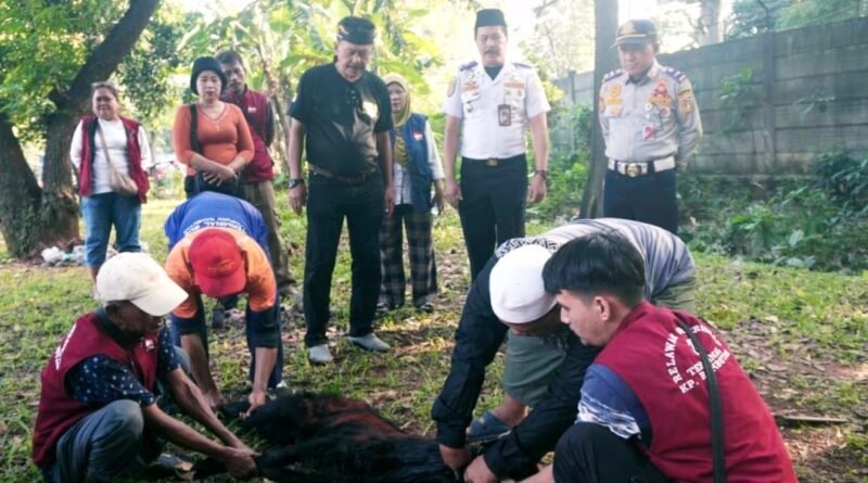 Peringati Hari Raya Idul Adha 1447 H/2026 M, Terminal Kampung Rambutan Sembelih 7 Ekor Kambing
