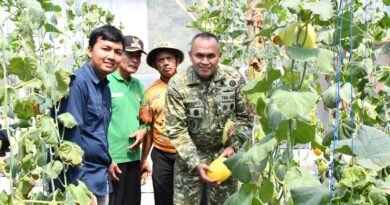 Dorong Inovasi Pertanian, Danrem Tinjau Uji Coba Varietas Padi Baru di Ngawi