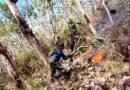 TNI-Polri dan BPBD Trenggalek Berhasil Padamkan Kebakaran Hutan Jati di Gandusari