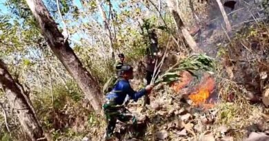 TNI-Polri dan BPBD Trenggalek Berhasil Padamkan Kebakaran Hutan Jati di Gandusari