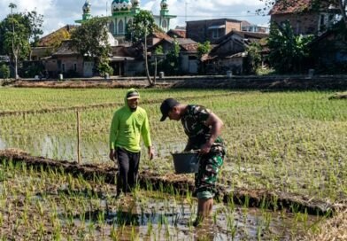 Kapenrem 081/DSJ: Pendampingan Babinsa Bentuk Kepedulian TNI AD
