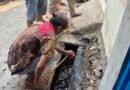 Apresiasi Program Gerebek Lumpur, Warga Cengkareng Timur Bongkar Saluran Dangkal dan Cor Jalan