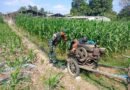 Babinsa Purwokerto Dampingi Petani Pastikan Pengairan Jagung Optimal