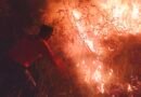 Lahan Hutan 3,5 Hektare di Trenggalek Terbakar