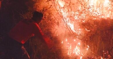 Lahan Hutan 3,5 Hektare di Trenggalek Terbakar