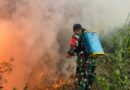 Hutan Ngrayun Terbakar, Prajurit TNI dan Warga Berjibaku Padamkan Kobaran Api