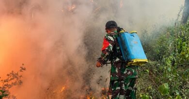 Hutan Ngrayun Terbakar, Prajurit TNI dan Warga Berjibaku Padamkan Kobaran Api