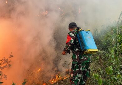 Hutan Ngrayun Terbakar, Prajurit TNI dan Warga Berjibaku Padamkan Kobaran Api