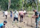 HUT ke-81 TNI, Koramil 0806-11/Panggul Tanam Mangrove di Kawasan Pantai dan Kili