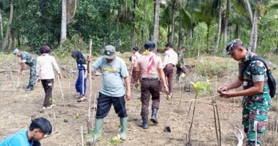 HUT ke-81 TNI, Koramil 0806-11/Panggul Tanam Mangrove di Kawasan Pantai dan Kili