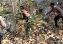 TNI-Polri dan PMK Gerak Cepat Padamkan Karhutla di Pucungkidul