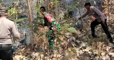TNI-Polri dan PMK Gerak Cepat Padamkan Karhutla di Pucungkidul