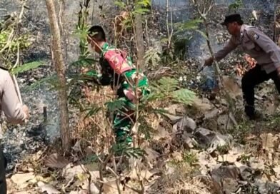 TNI-Polri dan PMK Gerak Cepat Padamkan Karhutla di Pucungkidul