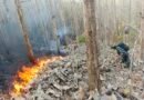 Cegah Kebakaran Meluas, Babinsa dan Perhutani Padamkan Api di Sekitar Hutan Jati Pucangan