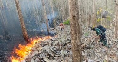 Cegah Kebakaran Meluas, Babinsa dan Perhutani Padamkan Api di Sekitar Hutan Jati Pucangan