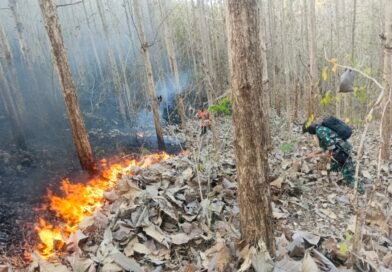 Cegah Kebakaran Meluas, Babinsa dan Perhutani Padamkan Api di Sekitar Hutan Jati Pucangan