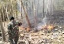 Personel Gabungan Padamkan Kebakaran Lahan Perhutani di Desa Pojok