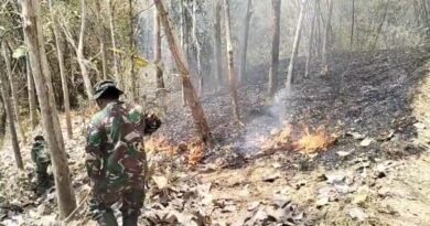 Personel Gabungan Padamkan Kebakaran Lahan Perhutani di Desa Pojok