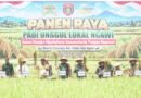 Danrem Untoro Puji Produktivitas Panen Raya Padi Unggul Lokal di Ngawi