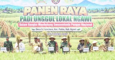 Danrem Untoro Puji Produktivitas Panen Raya Padi Unggul Lokal di Ngawi