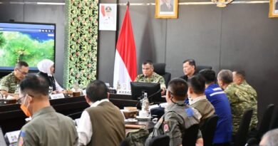 Danrem Erwin Ungkap Penanganan Karhutla di Jawa Timur