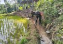 Babinsa dan Warga Gotong Royong Bersihkan Saluran Irigasi Sawah
