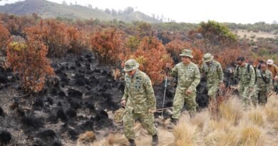 Perkuat Mitigasi Karhutla, Danrem 081/DSJ Erwin Jalan Kaki 12 Jam Susuri Gunung Lawu